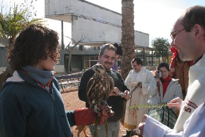 Veterinaria celebra San Antn en el Zoolgico