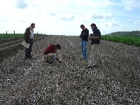 La agricultura andaluza se ala con Kioto